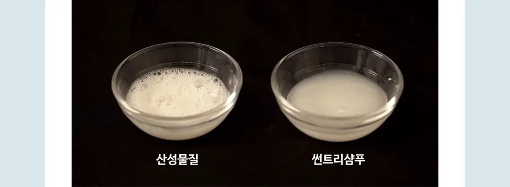 [편백샴푸] 헤드스파7 썬트리 샴푸 500g (탈모증상완화) 상세페이지 17